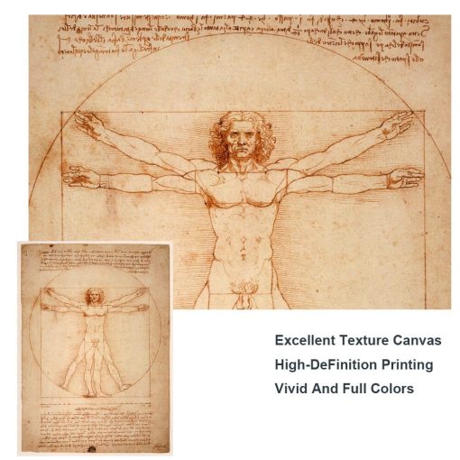 The Vitruvian Man by Leonardo da Vinci Drawing Art Paintings Print On Canvas Posters And Prints Famous Art Pictures Home Decor