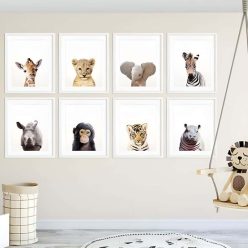 Baby Animal Wall Art Pictures for Kids Bedroom