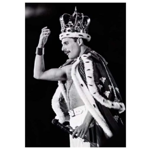 Painting of Legendary Pop Star Freddie Mercury - Print on Canvas - Image 6