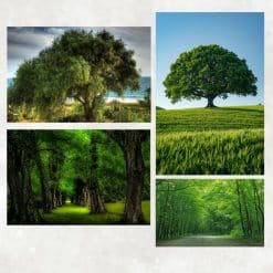 Green Tree Wall Decorative Paintings Printed on Canvas