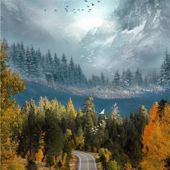 A Wonderful Nature Scenery Of Road Landscape - Print on Canvas