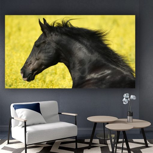 Beautiful Horse Oil Painting Art for Home Decoration - Print on Canvas