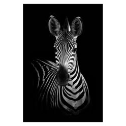 Modern Art Wild Animal Painting Printed on Canvas