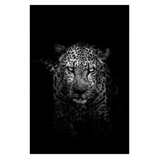 Modern Art Wild Animal Painting Printed on Canvas