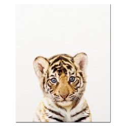 Baby Animal Wall Art Pictures for Kids Bedroom Decoration - Printed on Canvas