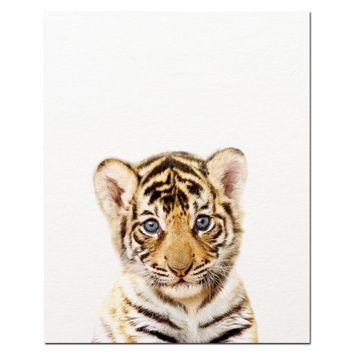 Baby Animal Wall Art Pictures for Kids Bedroom Decoration - Printed on Canvas