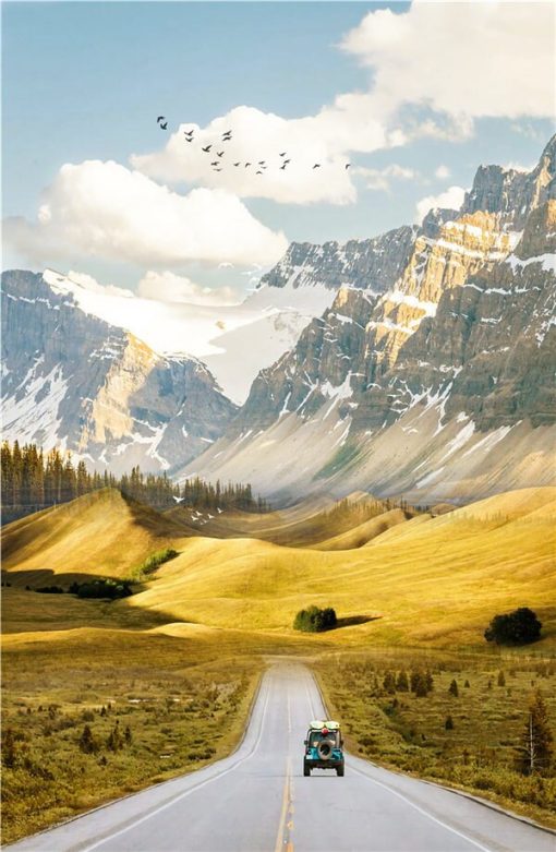 A Wonderful Nature Scenery Of Road Landscape - Print on Canvas