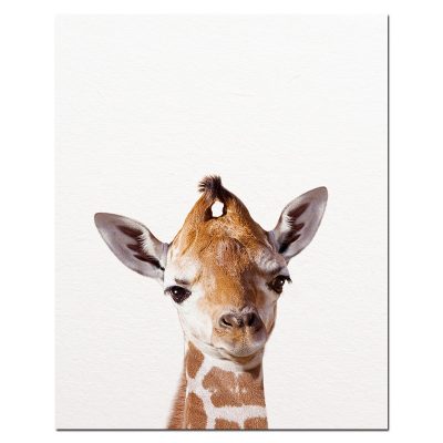 Baby Animal Wall Art Pictures for Kids Bedroom Decoration - Printed on Canvas