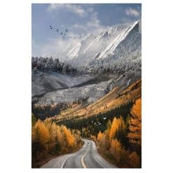 Wonderful Nature C