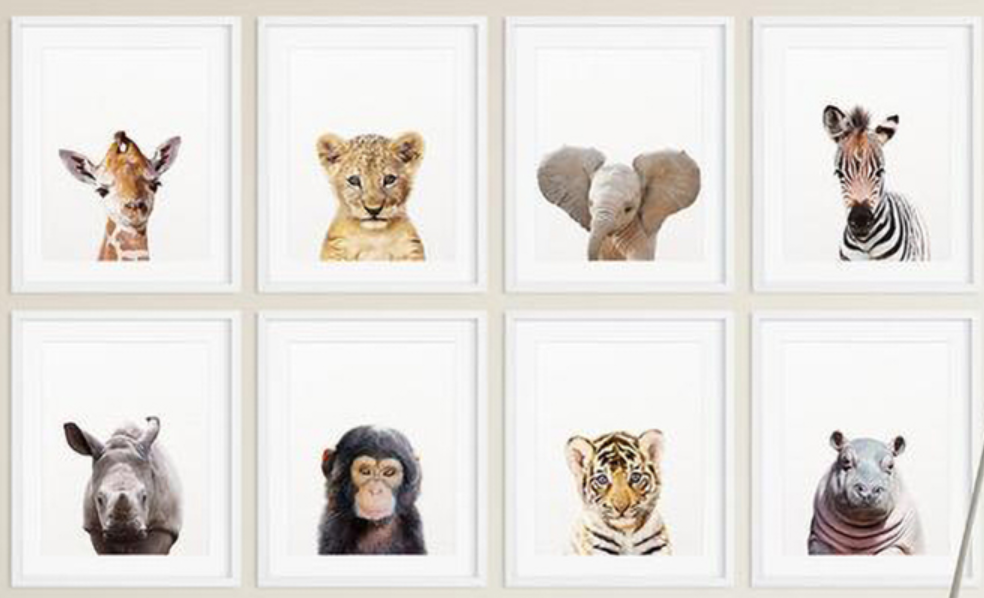 Baby Animal Wall Art Pictures for Kids Bedroom