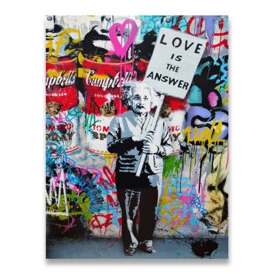 Follow Your Dreams Street Wall graffiti Art Canvas Paintings Abstract Einstein Pop Art Canvas Prints For Kids Room Cuadros Decor