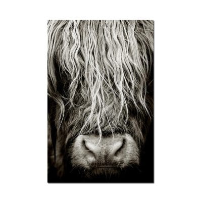 Scottish Highlander Cattle Wall Art Painting Printed on Canvas