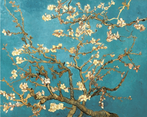 Almond Blossom 1890