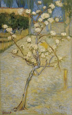 Famous Van Gogh Cafe Terrace At Night Oil Painting Reproductions on Canvas Posters and Prints Wall Art Picture for Living Room