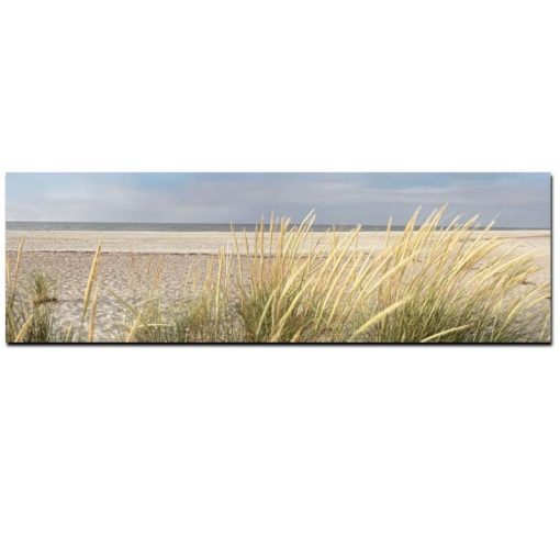 Peaceful Seascape with Grass around the Beach, Modern Art Printed on Canvas