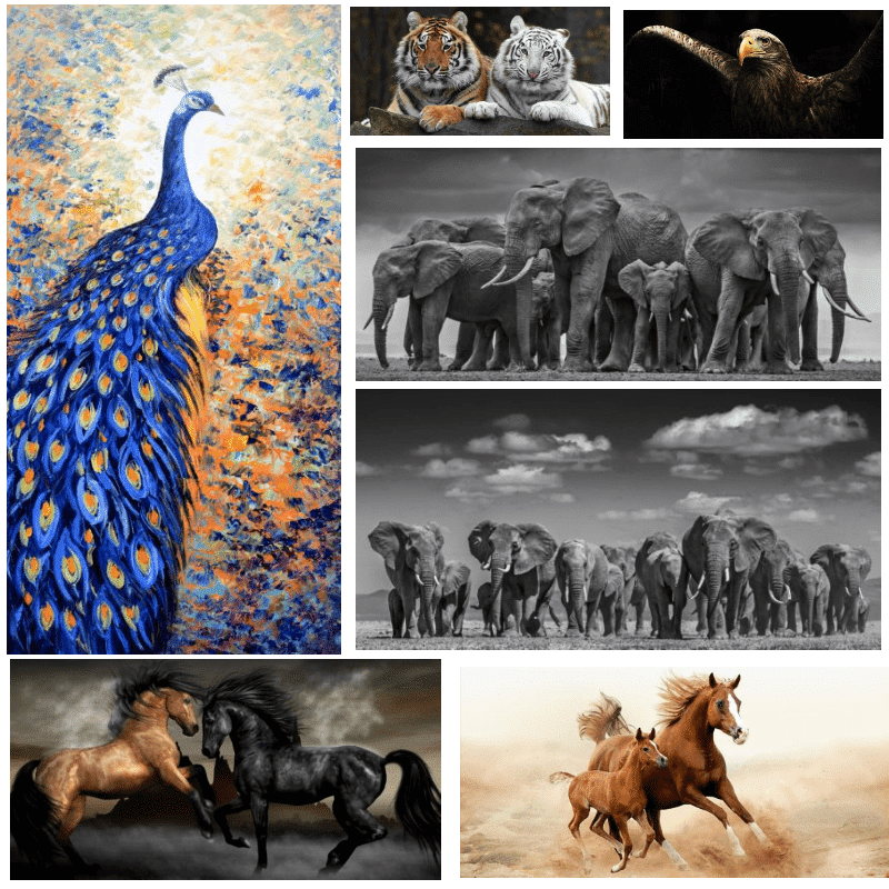 Pictures & Paintings of Horses Eagle Tigers Elephants Printed on Canvas