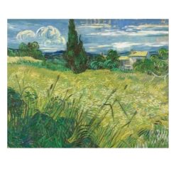 VG25 Green Wheat Field with Cypress 1889