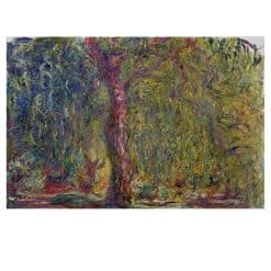 F Weeping Willow 1918 1919