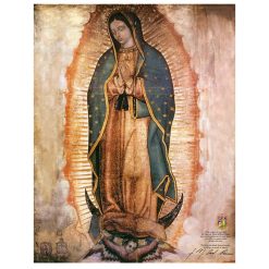 Our Lady of Guadalupe