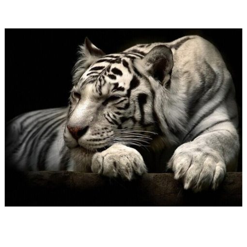 Beautiful White Tiger Modern Animals Poster Printed on Canvas - Image 3