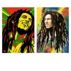 Bob Marley the Musician 5