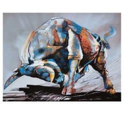 Elegant Black Bull 2