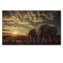 Two Elephants A54