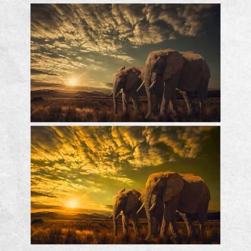 Two Elephants Landscape Wall Art