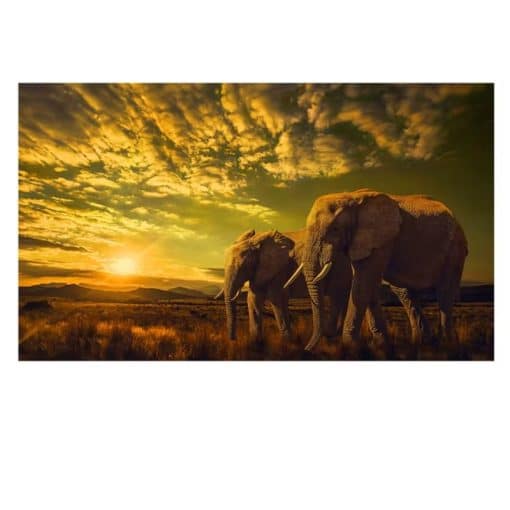 Two Elephants Landscape Wall Art Picture Printed on Canvas - Image 4