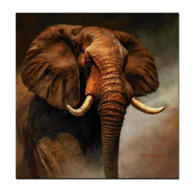 African Elephant