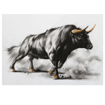 Elegant Black Bull