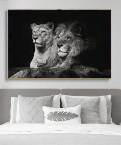 Lion Couple Picture Black and White