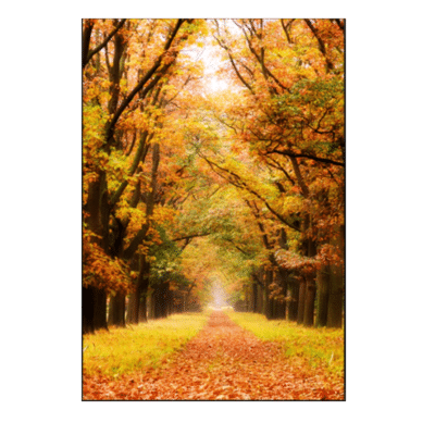 National Park of Netherlands