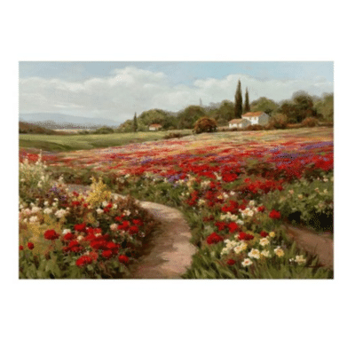 Poppy Fields