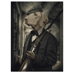 Fun Animal Characters Artworks J914