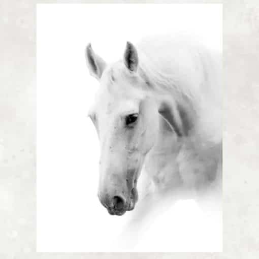 White Horses Artwork Printed on Canvas - Image 2