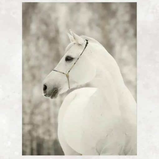 White Horses Artwork Printed on Canvas - Image 3