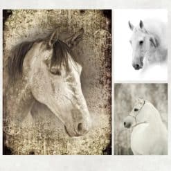 White Horses Artwork Printed on Canvas