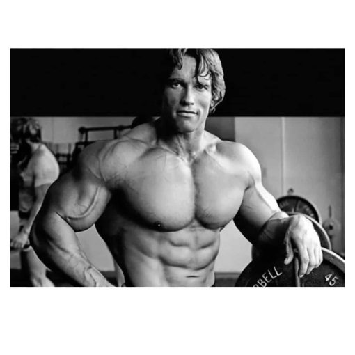 Arnold Schwarzenegger Bodybuilding Wall Art Printed on Canvas - Image 2