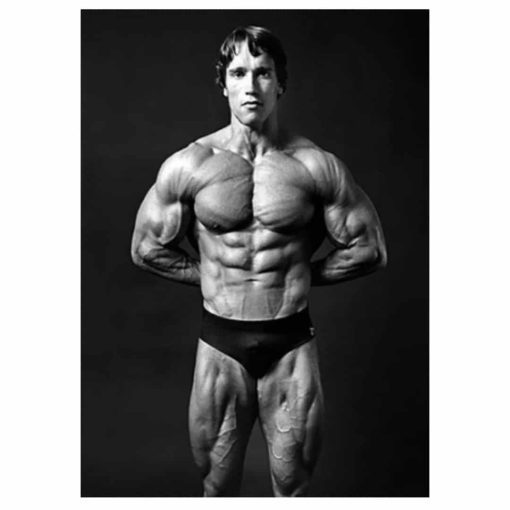 Arnold Schwarzenegger Bodybuilding Wall Art Printed on Canvas - Image 4