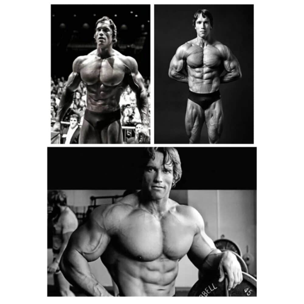 Arnold Schwarzenegger Bodybuilding Wall Art Printed on Canvas 1