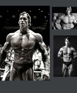 Arnold Schwarzenegger Bodybuilding Wall Art Printed on Canvas