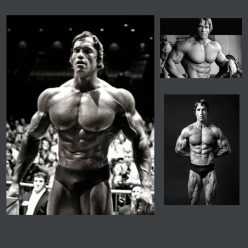 Arnold Schwarzenegger Bodybuilding Wall Art Printed on Canvas