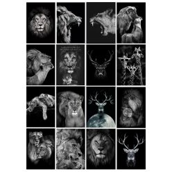 Lions and Other Animals