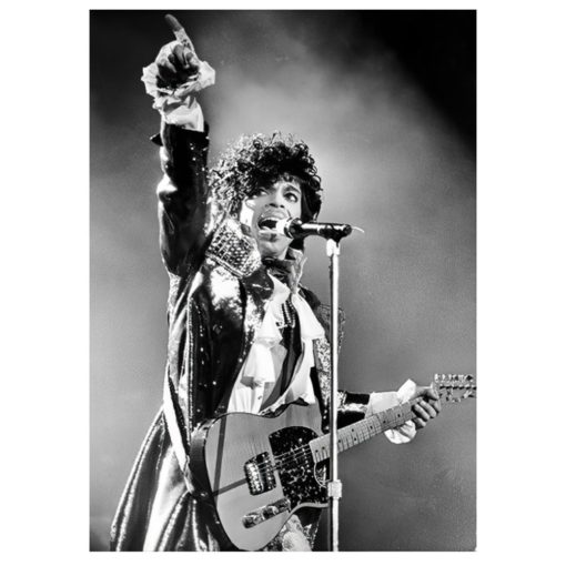 Prince Wall Art Pictures Printed on Canvas - Image 3