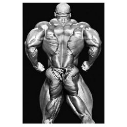 Ronnie Coleman 17