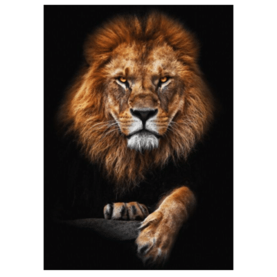 Lions and Other Animals 6