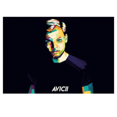 Avicii 13