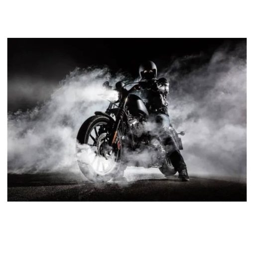 Cool Motorcycle Pictures and Artworks Printed on Canvas - Image 5