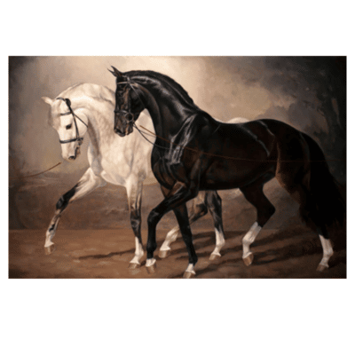 Black and White Horse